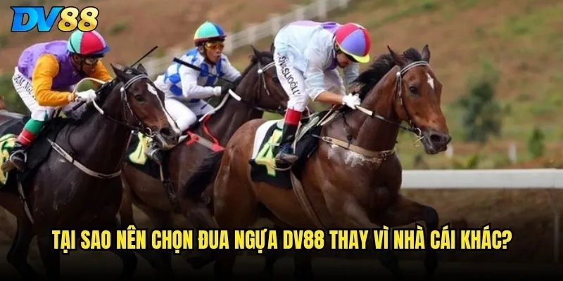 Đua ngựa DV88 có làm hài lòng những tay cược chuyên nghiệp không? 2 Tại sao nên chọn đua ngựa DV88 thay vì nhà cái khác?