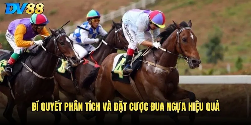 Đua ngựa DV88 có làm hài lòng những tay cược chuyên nghiệp không? 3 Bí quyết phân tích và đặt cược đua ngựa hiệu quả