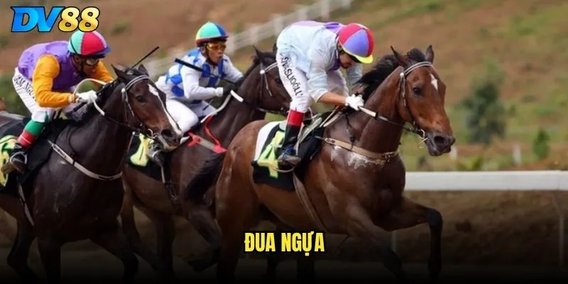 đua ngựa
